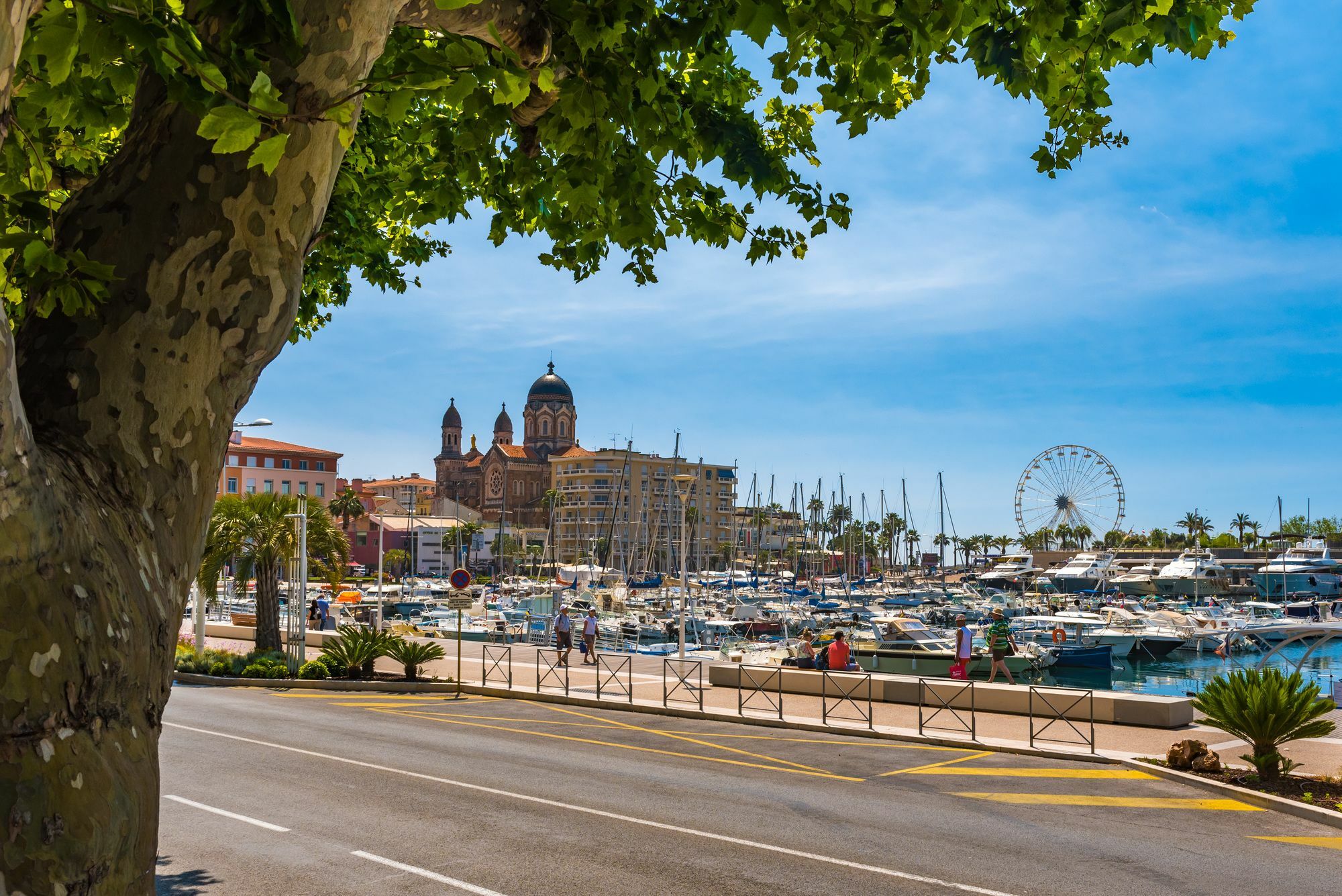 Hotel Provencal Saint-Raphaël Dış mekan fotoğraf